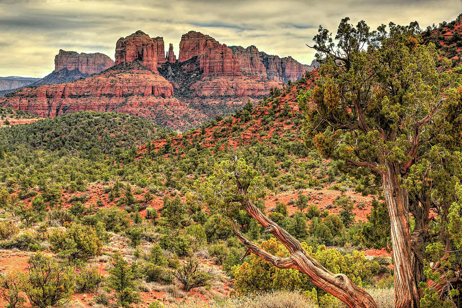 Sedonas Cathedral Rock Photograph by Donna Kennedy