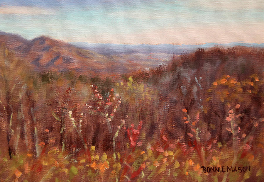 Seeds for Tomorrow - Along the Blue Ridge Parkway Painting by Bonnie Mason