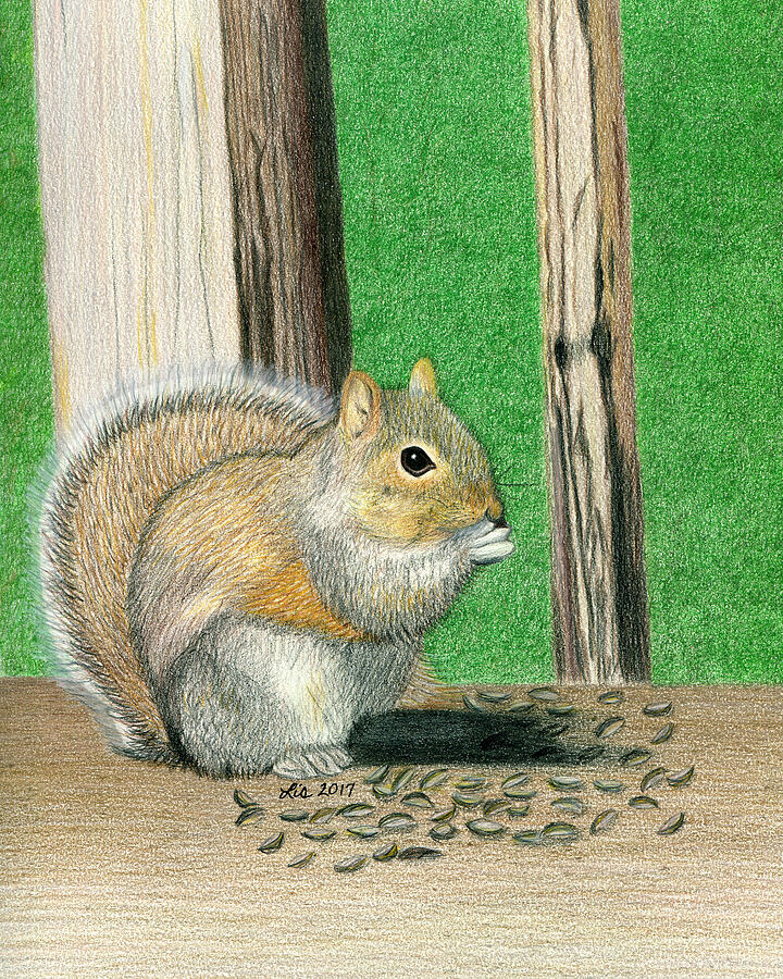 Seedy Squirrel Drawing by Lisa Blake