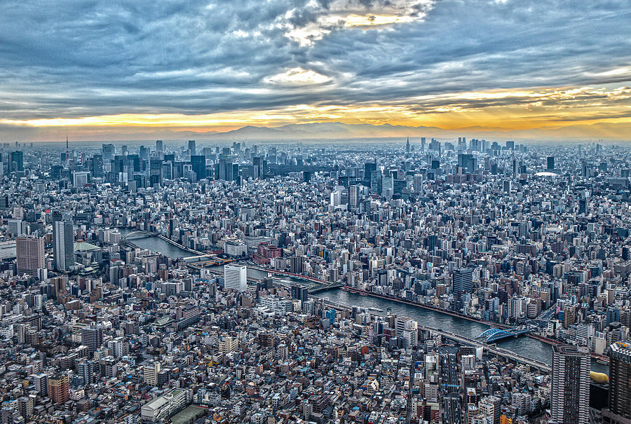 Seeing a panoramic view of Tokyo from a high point Photograph by Yuji Arikawa