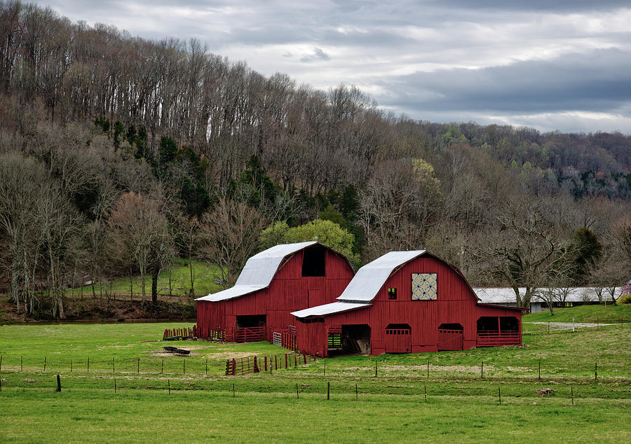 Seeing Double -  a pair of cattle barns on the Cumberland Plateau near Cookeville TN Photograph by Peter Herman