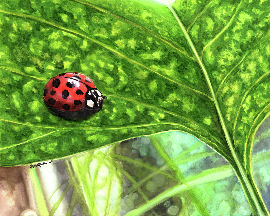 Ladybug Drawing - Seeing Spots by Shana Rowe Jackson