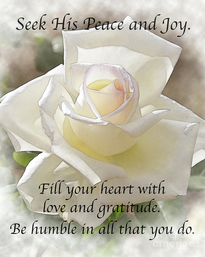 Seek His Peace White Rose Bloom Digital Art by Kirt Tisdale