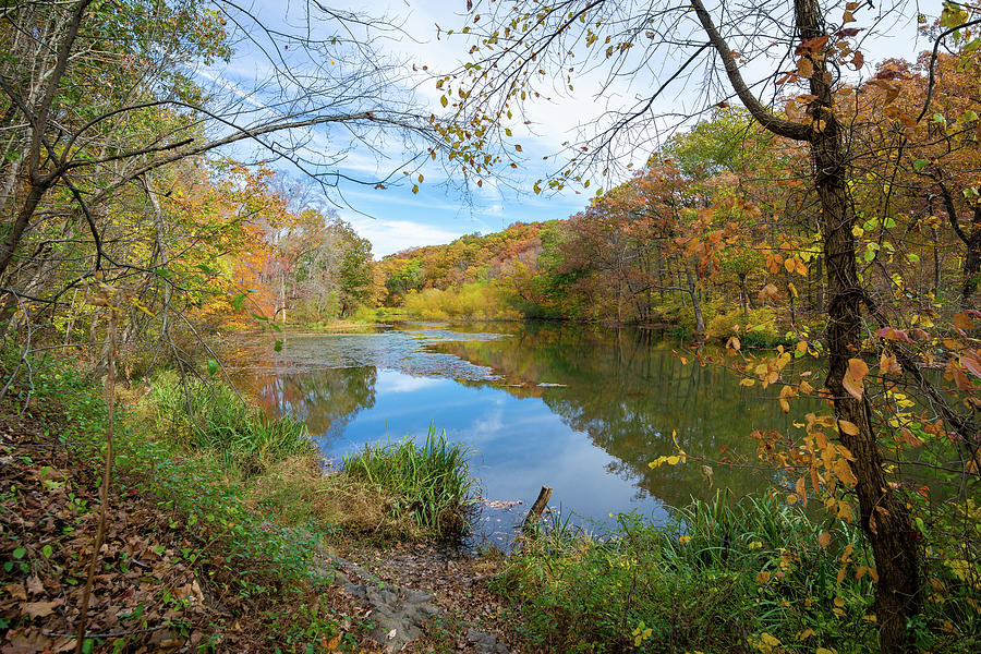 Seeley's Pond at the Watchung Reserve, NJ Photograph by Daniel ...
