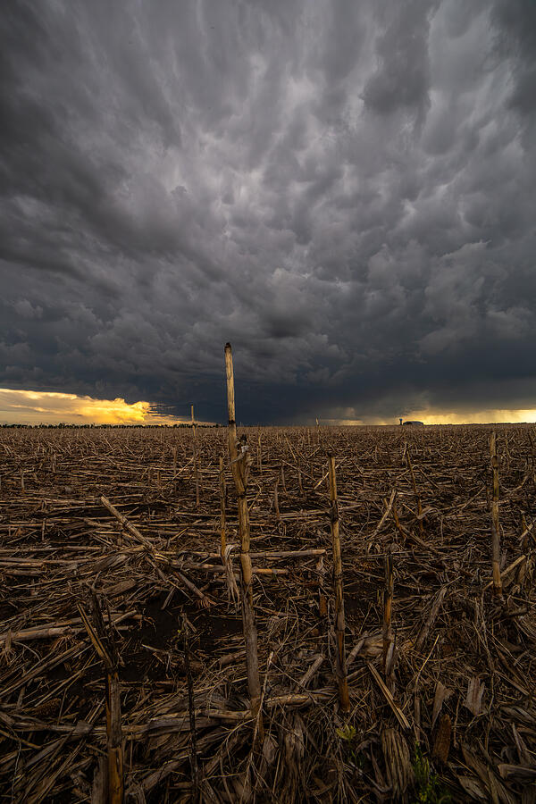 Seen better days Photograph by Aaron J Groen Seen better days Photograph by Aaron J Groen