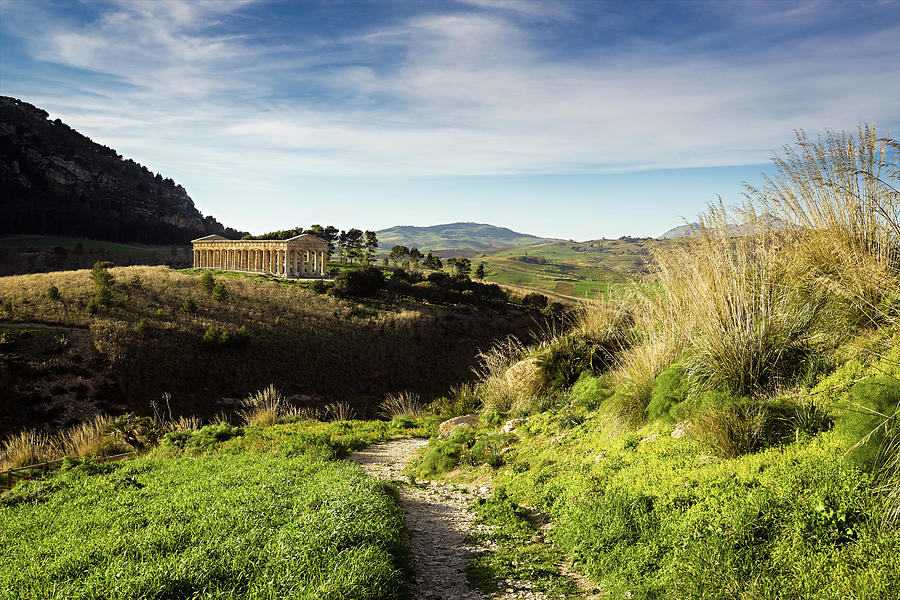 Segesta in Sicily Photograph by Ian Good