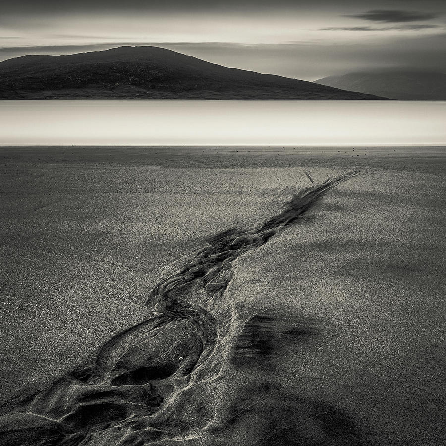 Beach Photograph - Seilebost Sand Tracks by Dave Bowman