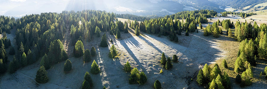 Seiser Alm trees drone DJI_0677-Pano-Edit Photograph by Sonny Ryse