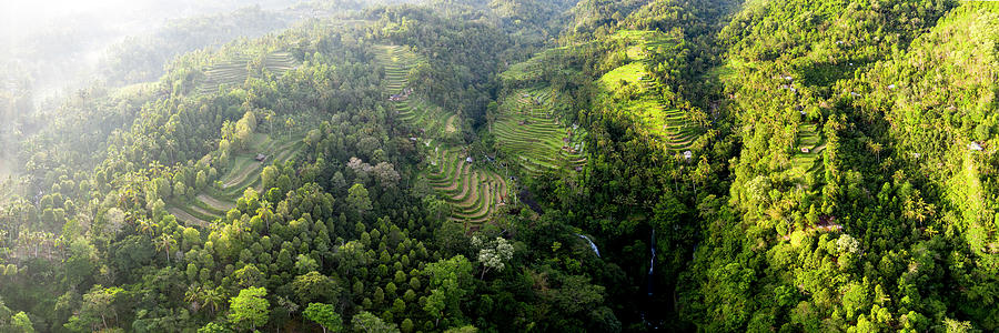 Sekumpul Rice terraces Bali Indonesia Photograph by Sonny Ryse