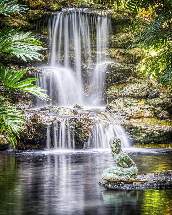 Selby Garden Waterfall Photograph by Joe Myeress