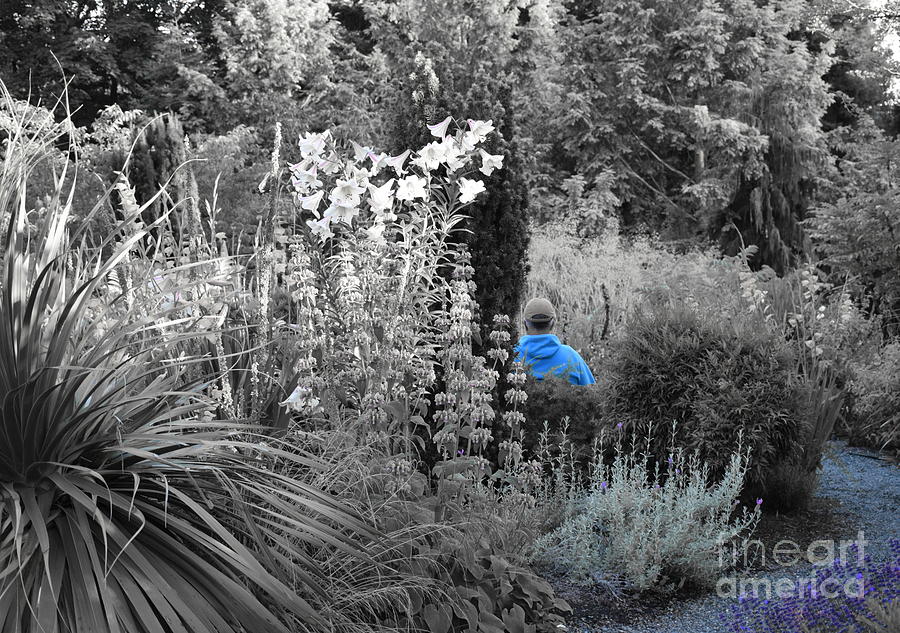 Selectively Blue Garden Visitor Photograph by Sea Change Vibes