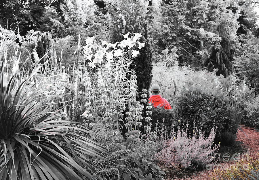 Selectively Red Garden Visitor Photograph by Sea Change Vibes
