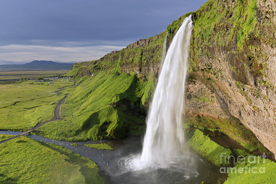 Seljalandsfoss Falls in Summer, Iceland Photograph by Arterra Picture Library