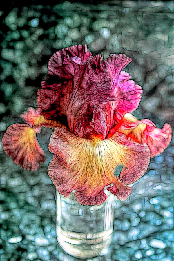 Semi-Abstract Bearded Iris Photograph by Her Arts Desire