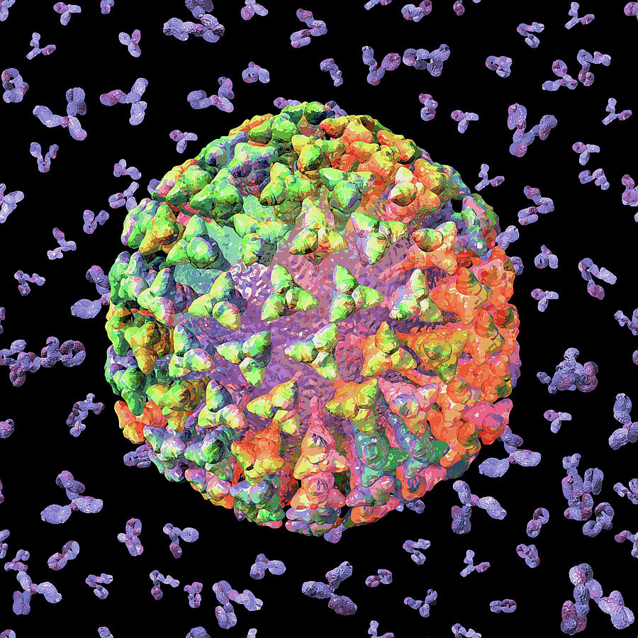 Semi-Abstract Rainbow Coronavirus with Blue Antibodies Photograph by Russell Kightley