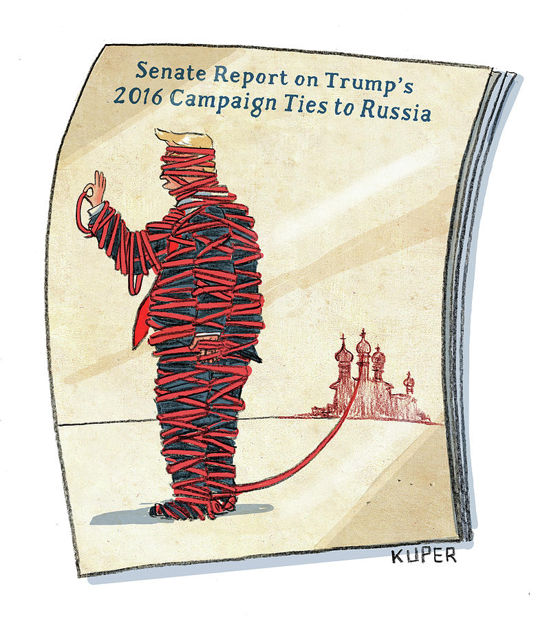 Senate Report On Trumps Ties Drawing by Peter Kuper