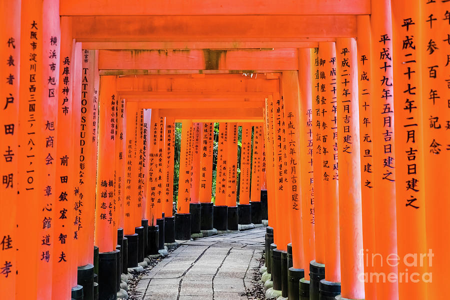 Senbon Torii at Fushimi Inari-Taisha shrine, Kyoto #3 Photograph by Lyl Dil Creations