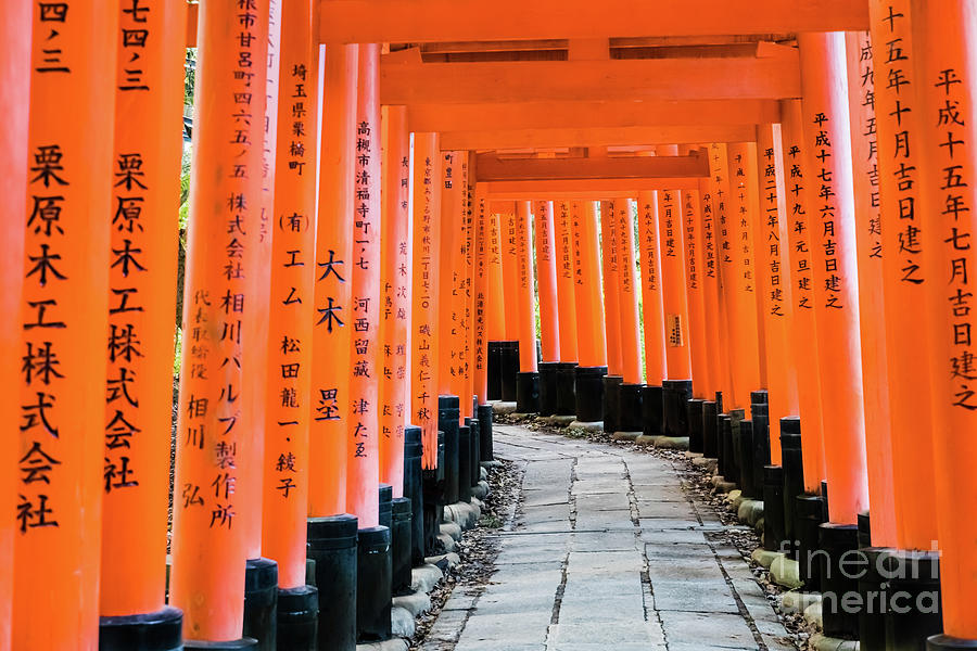 Senbon Torii At Fushimi Inari Taisha Shrine Kyoto 4 Photograph By Lyl Dil Creations