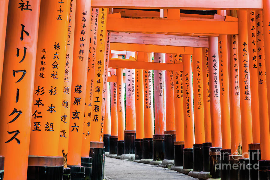 Senbon Torii at Fushimi Inari-Taisha shrine, Kyoto #5 Photograph by Lyl Dil Creations