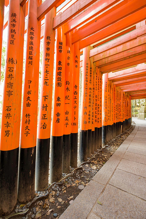 Senbon Torii Fushimi Inari Taisha Photograph By David L Moore