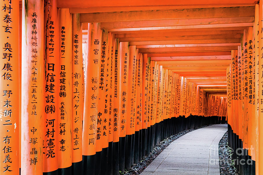 Senbon Torii, Fushimi Inari-Taisha shrine, Kyoto #2 Photograph by Lyl Dil Creations