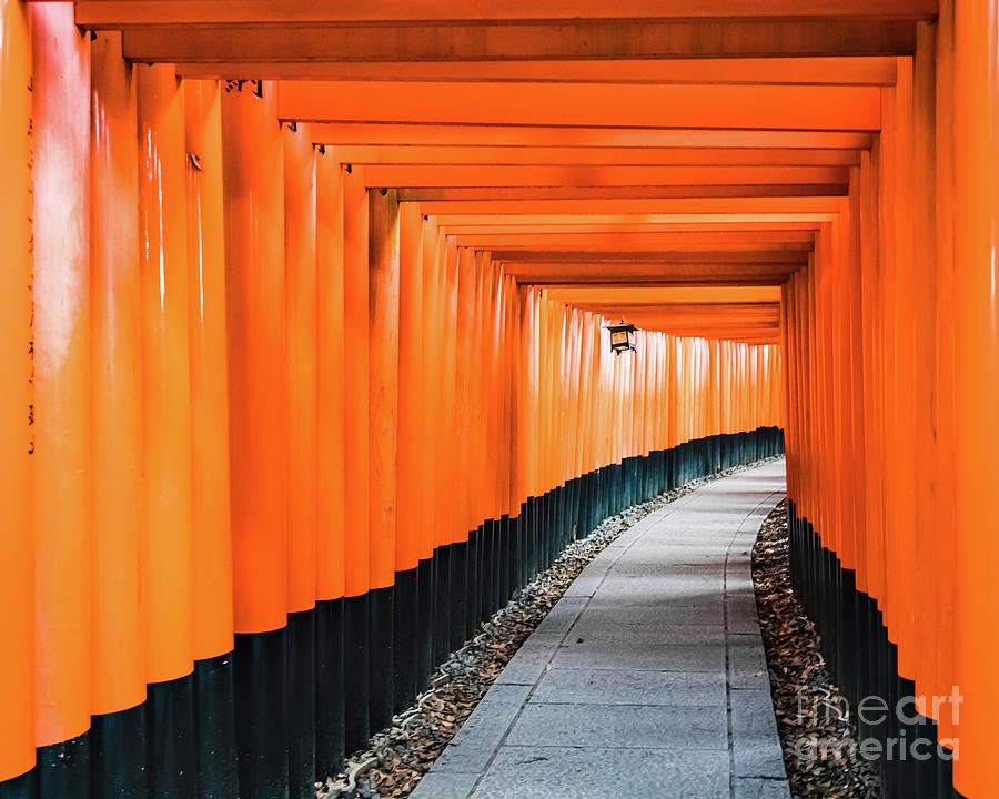 Senbon Torii Fushimi Inari Taisha Shrine Kyoto Photograph By Lyl Dil Creations