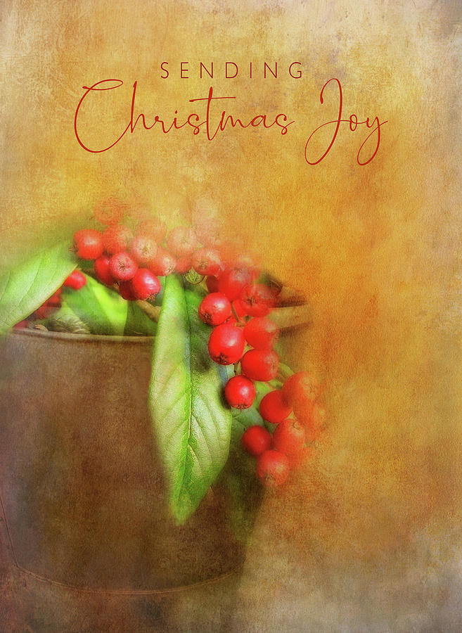 Sending Christmas Joy Digital Art by Terry Davis