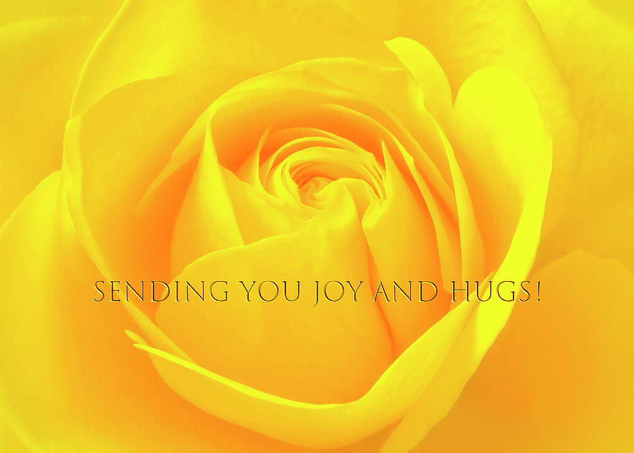 Sending You Joy And Hugs With A Yellow Rose Photograph by Johanna Hurmerinta