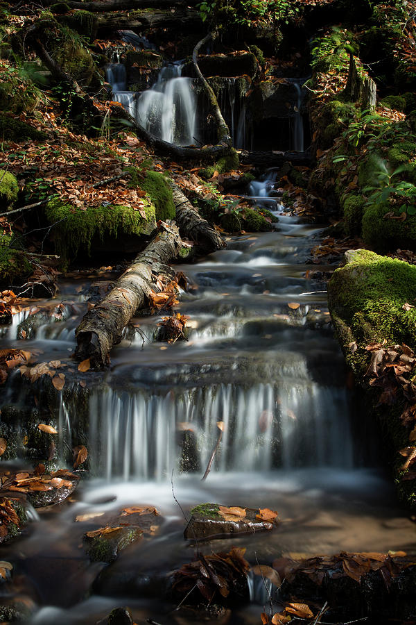 Seneca Creek Waterfall Photograph by Carolyn Hutchins