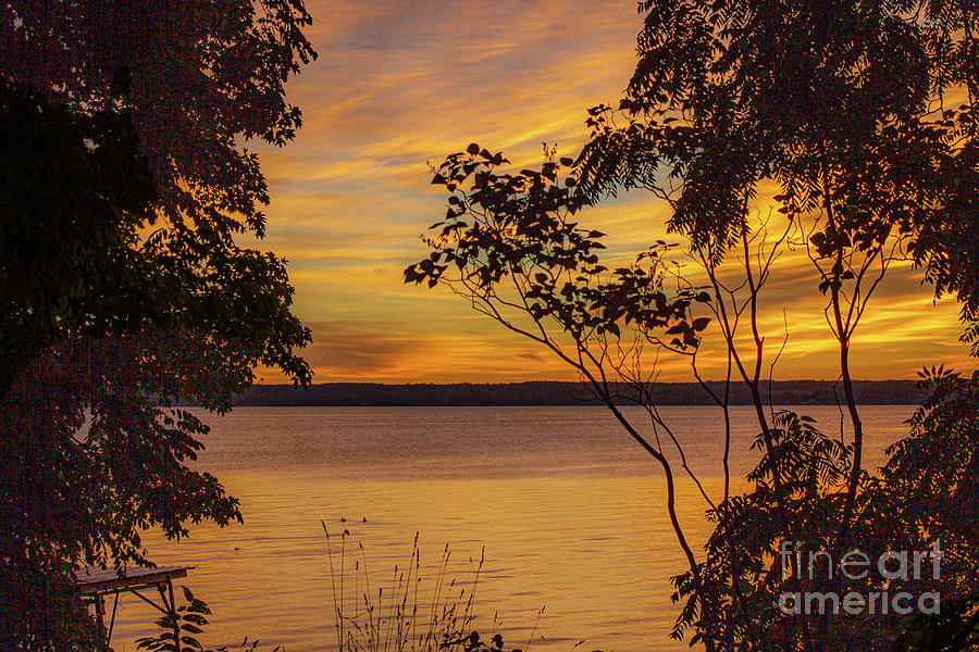 Seneca Lake View Photograph by William Norton