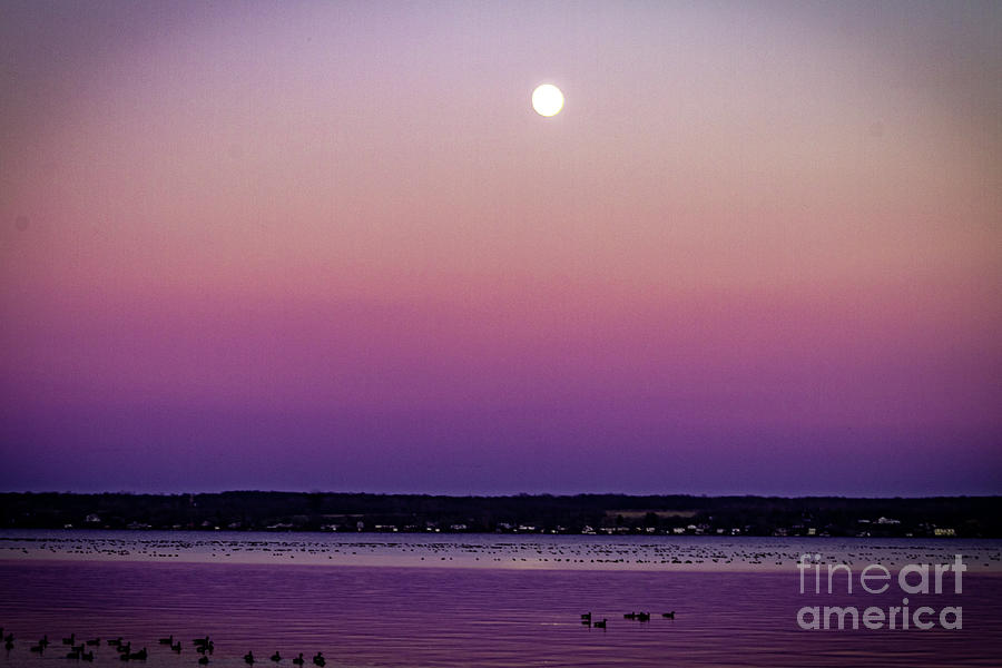 Seneca Moon Rise Photograph by William Norton