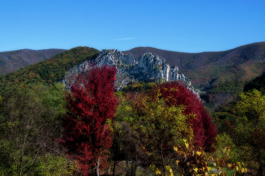 Seneca Rocks in the Fall Photograph by Dan Friend