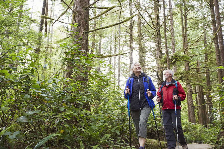 Senior couple hiking along trail in forest Photograph by Compassionate Eye Foundation/Steven Errico