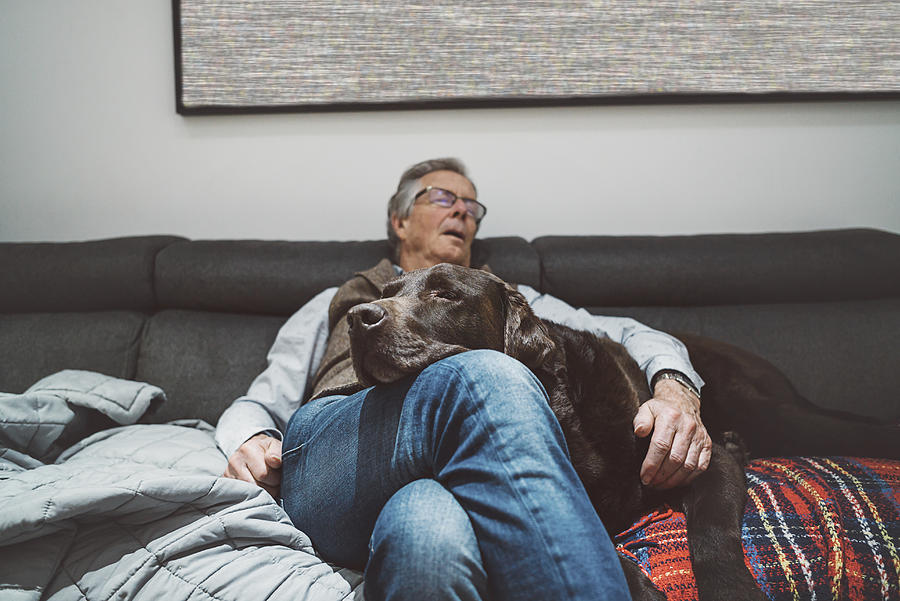 Senior man asleep on sofa with pet dog Photograph by Justin Paget