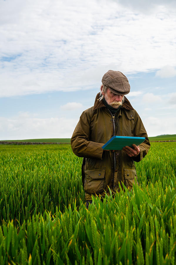 Senior man in a field with a digital tablet Photograph by JohnFScott