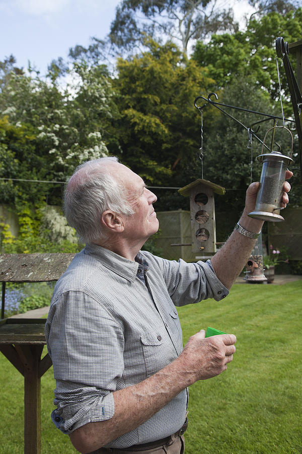 Senior man refilling bird feeder in garden Photograph by Jenny Cundy