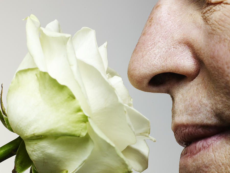 Senior man smelling rose, close-up Photograph by Flashpop
