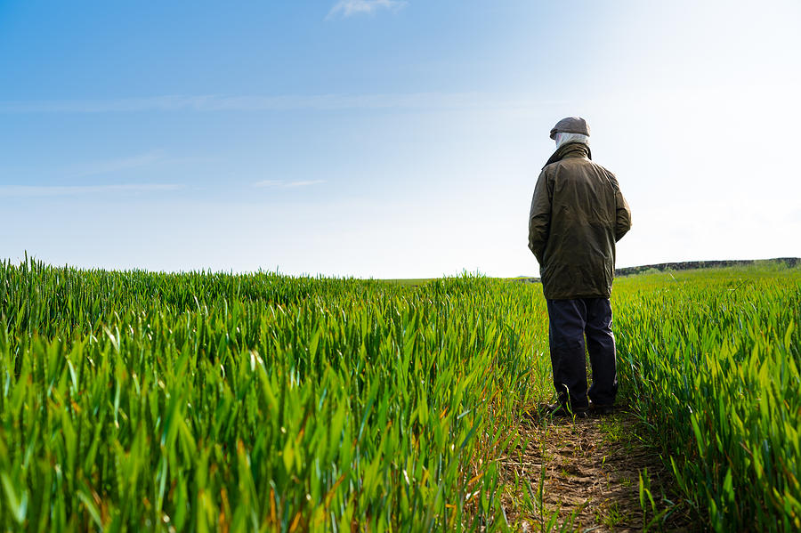 Senior man standing amongst a cereal crop Photograph by JohnFScott