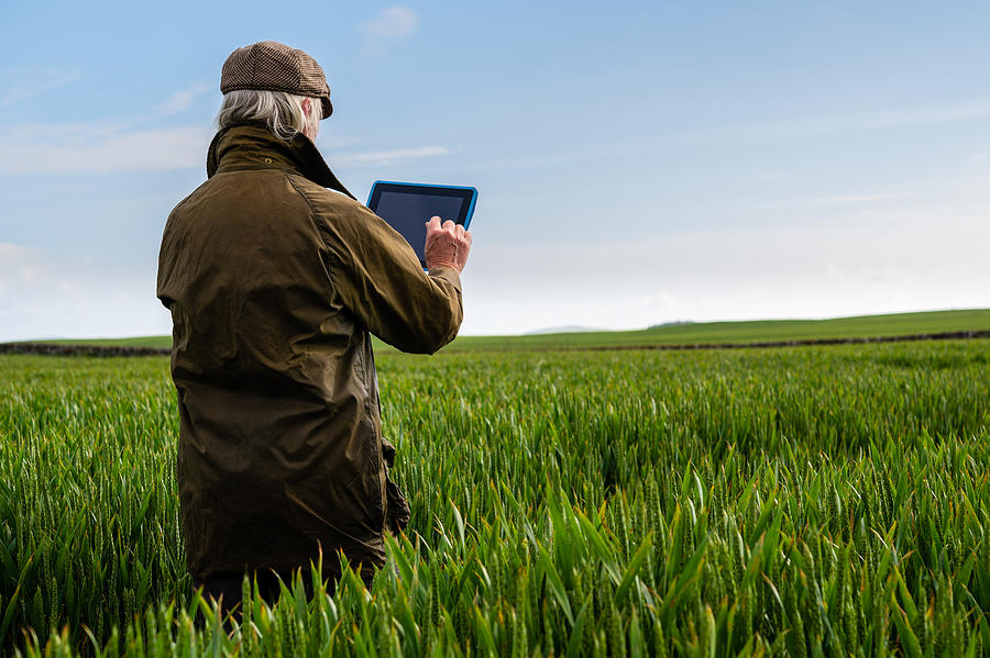 Senior man using a digital tablet in a field Photograph by JohnFScott
