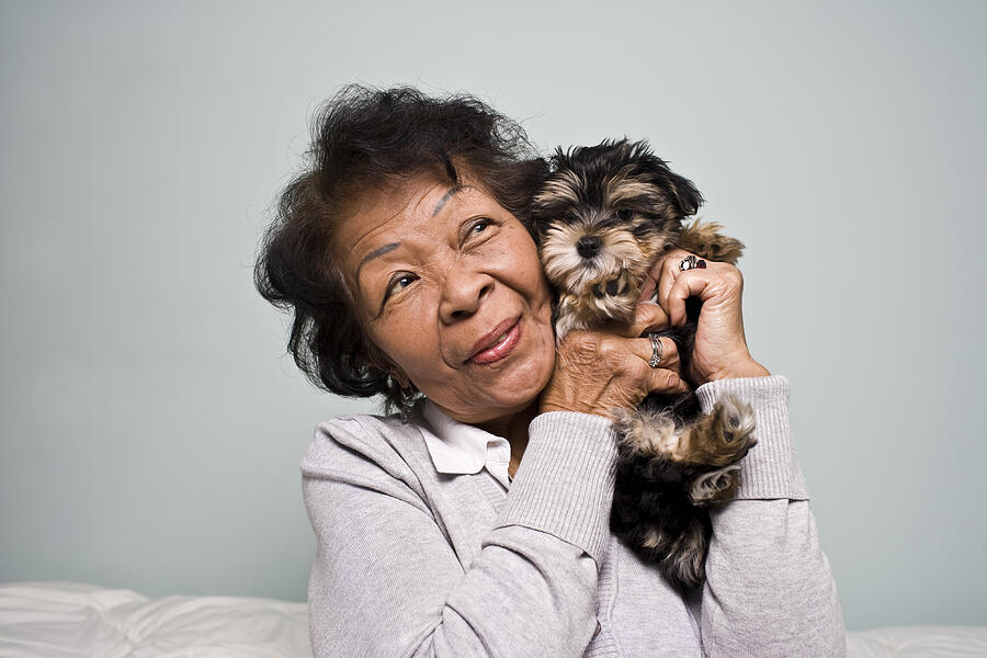 Senior Woman holding a Puppy Photograph by Michellegibson