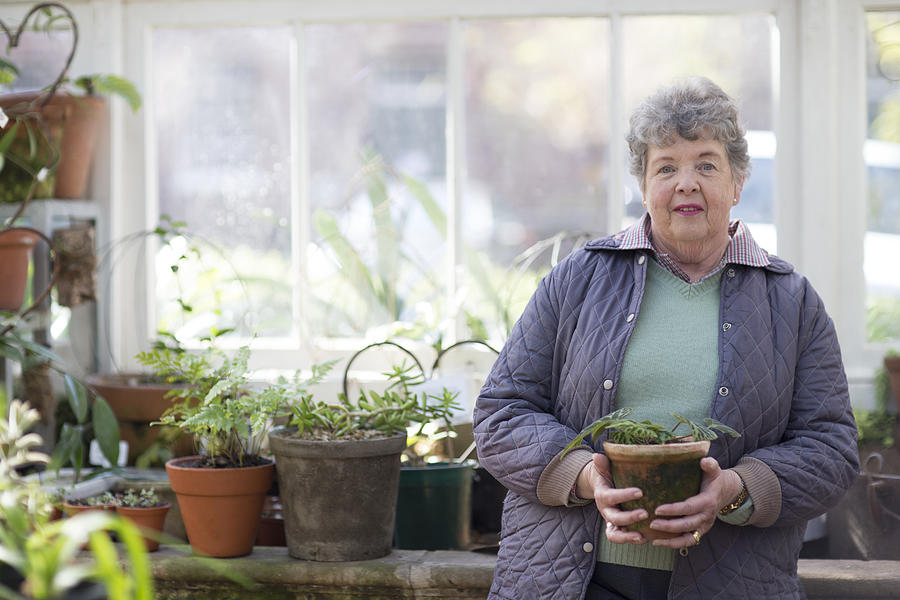 Senior woman in greenhouse Photograph by Alistair Berg