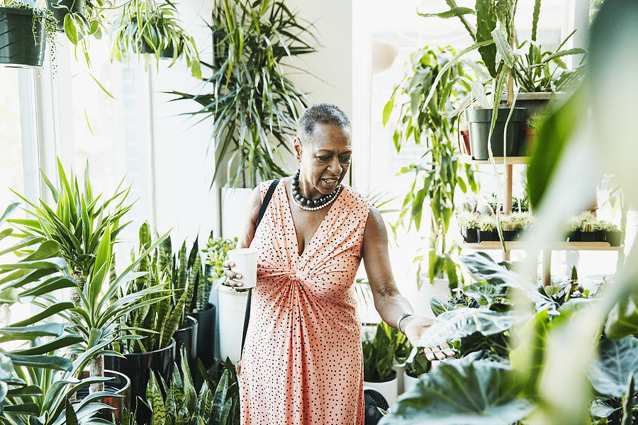 Senior woman touching plant leaf while shopping in plant store Photograph by Thomas Barwick