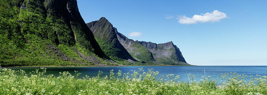 Senja Island Steinfjorden mountains Norway Photograph by Sonny Ryse