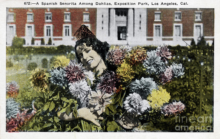 Senorita 1930 Photograph by Sad Hill - Bizarre Los Angeles Archive