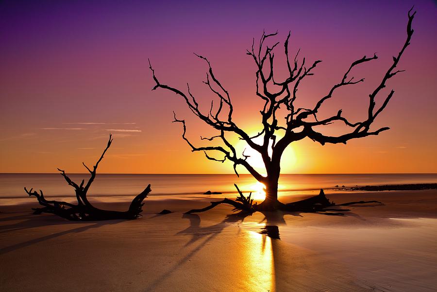 Sensational Sunrise at Jeckyl Island Photograph by Frozen in Time Fine Art Photography