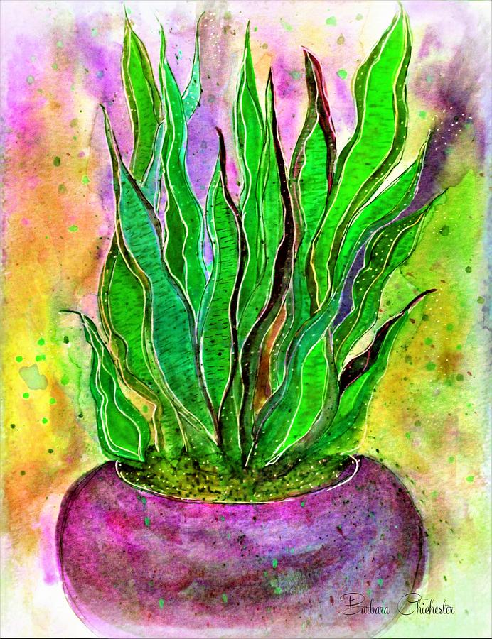 Sensevieria Plant Painting by Barbara Chichester