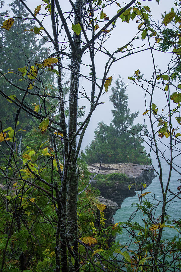 Sentinel Cedar at Cave Point and a droplet-bedazzled Spiderweb - Door County Wisconsin Photograph by Peter Herman