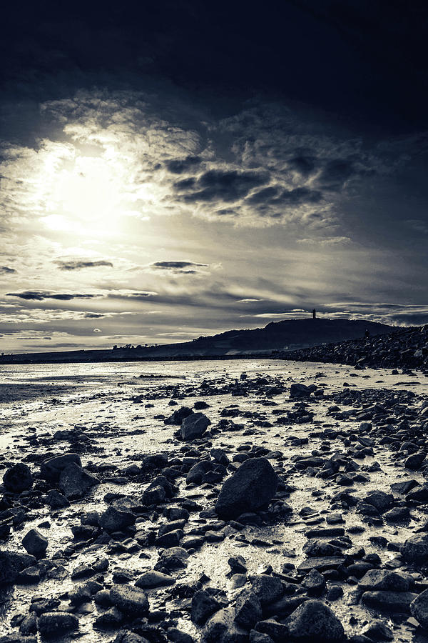 Sentinel on The Lough  Photograph by Martyn Boyd