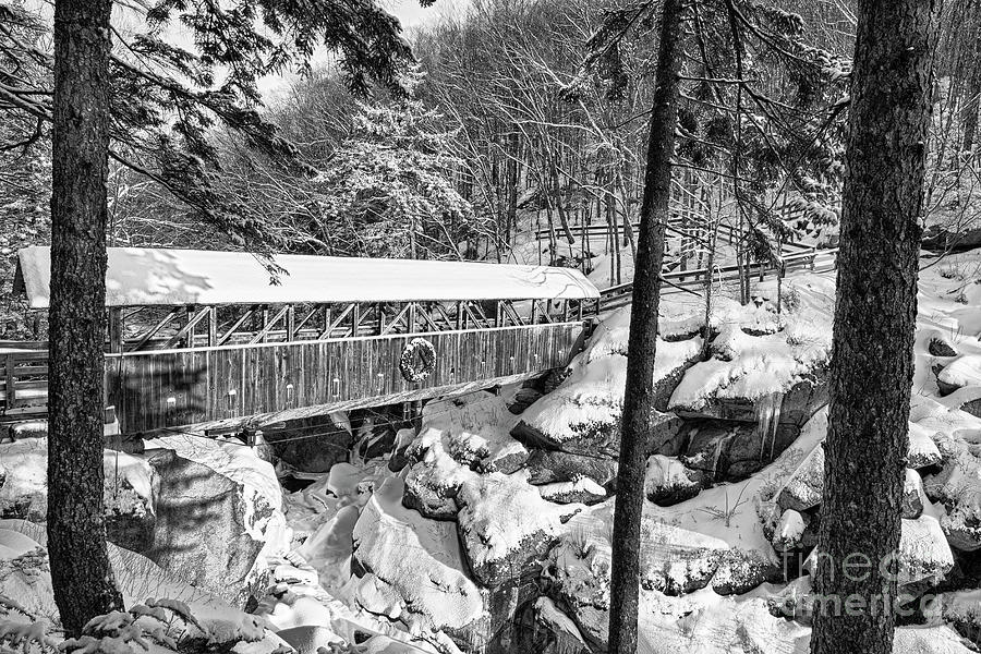 Landscape Photograph - Sentinel Pine Covered Bridge - Franconia Notch State Park New Hampshire USA by Erin Paul Donovan