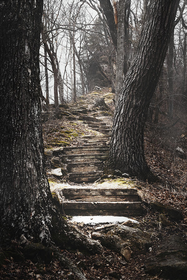 Sentinel Ridge Trail Photograph